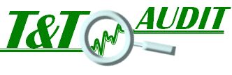 TT AUDIT